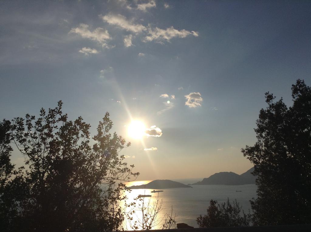 Affittacamere Le Figarole Ameglia Buitenkant foto